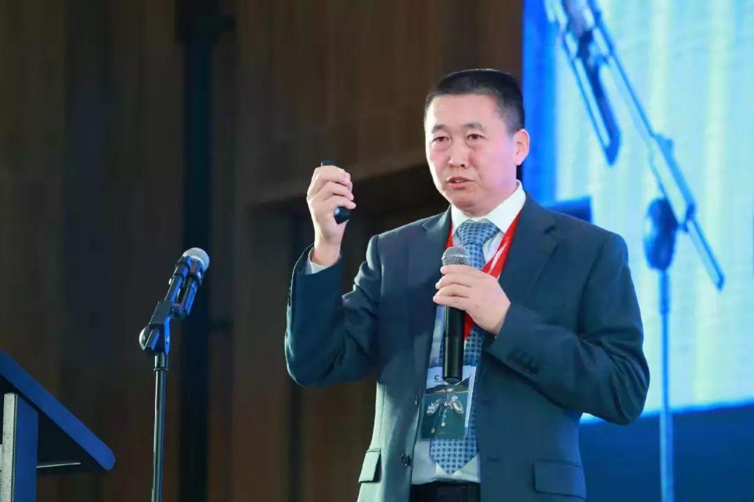 2025新奥最精准免费大全,详细解答、解释与落实