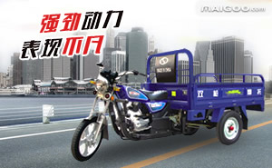 最新款双枪电动三轮车