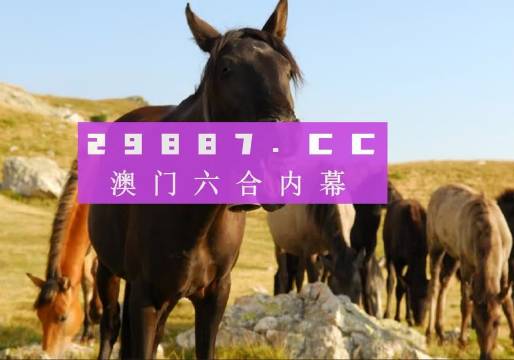 澳门管家婆一肖一码一中一开，精准预测结果，精选资料解释大全