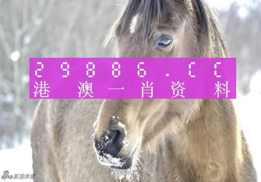 澳门一肖一码100%精准，精准预测结果，精选资料解释大全
